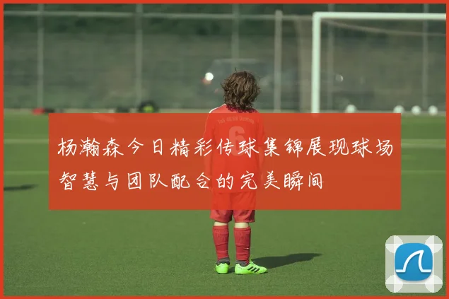 杨瀚森今日精彩传球集锦展现球场智慧与团队配合的完美瞬间